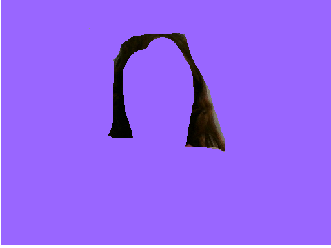 100 followers hair reveal