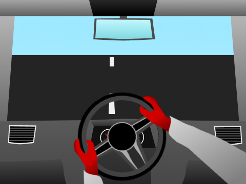 Driving Sim