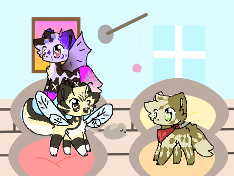 my cat room