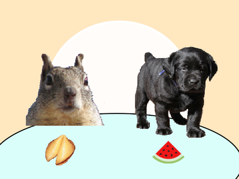 puppy and squirrel and the cute eatery