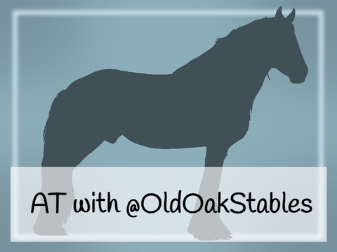 AT with @OldOakStables