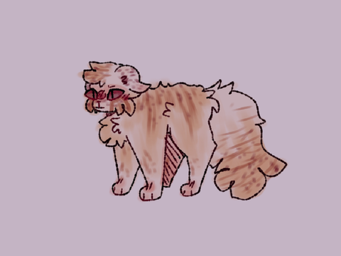 A cat???????????