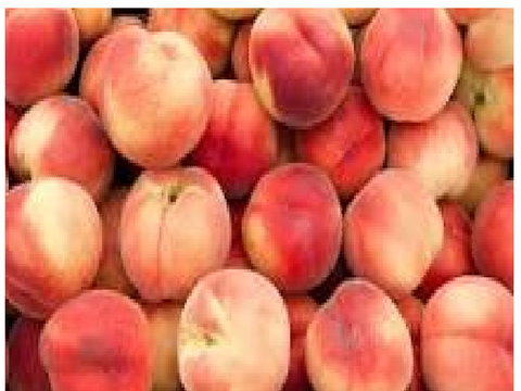 peaches song slideshow  remix