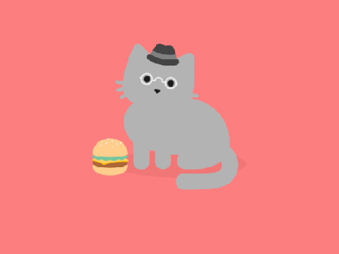 my pet cat 