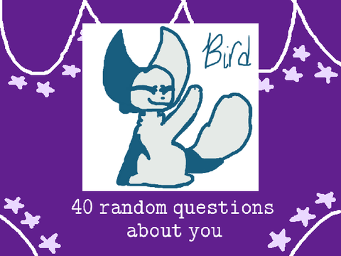 ✨ 40 random answers ✨