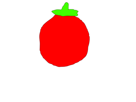 Tomato
