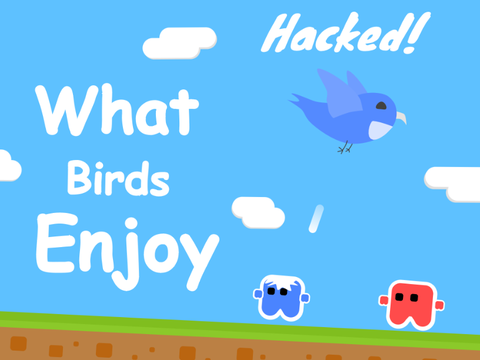 What Birds Enjoy [Hacked!]