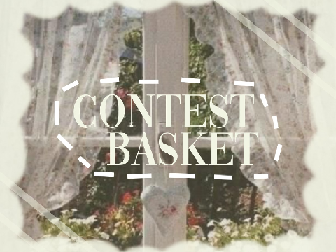 contest bag