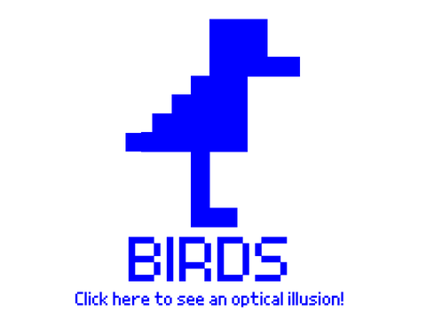 DuckIllusion
