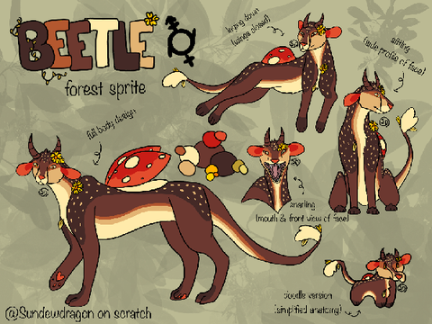 ◜beetle◝  - DTAE