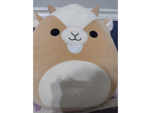 My Squishmallow