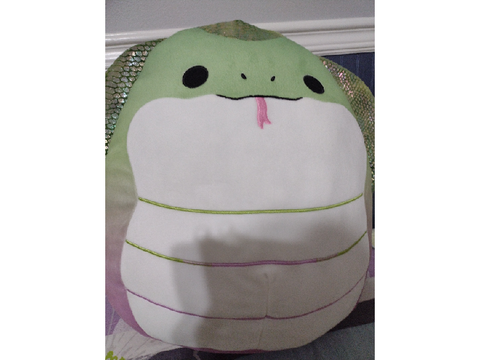 My brother's squishmallow 