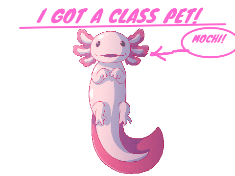 I GOT A CLASS PET!!!!
