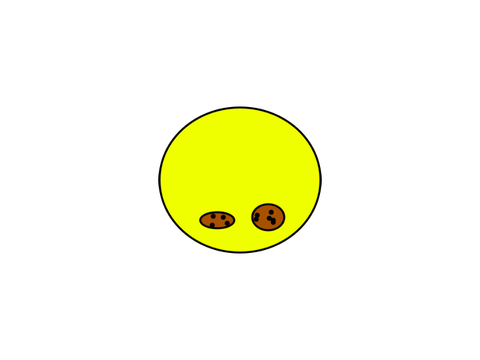 Cookie tin Gif