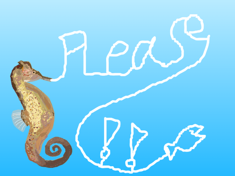 please!(>_<)