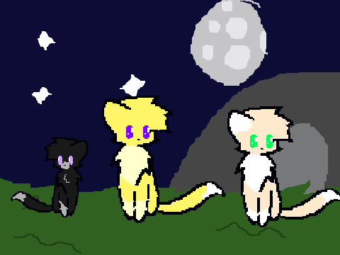WARRIOR CAT ADOPTABLES! (OPEN) remix