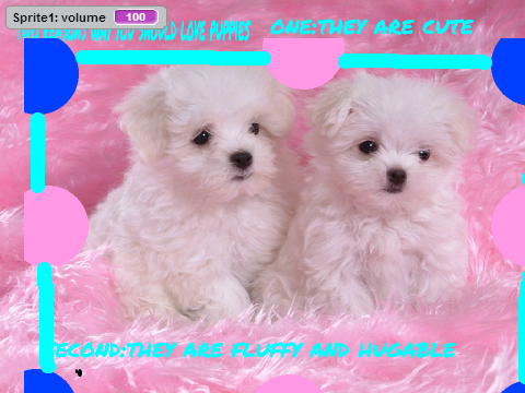 Why You should love dogs