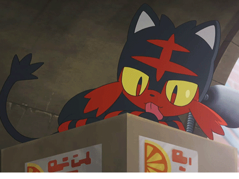 litten the CUTEST pokemon