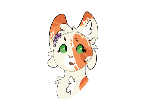 doodle