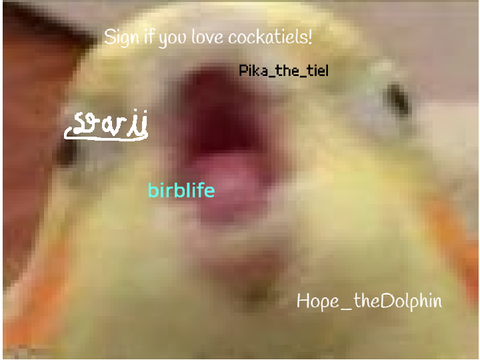-+sign if u love tielz!+-  >:333