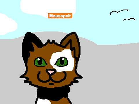 Warriorcat generator