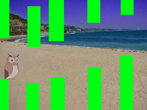 Flappy Owl on a beach (high quality guarantee or your money back) (10 minute challenge)