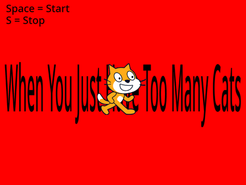 TOO MANY CATS!