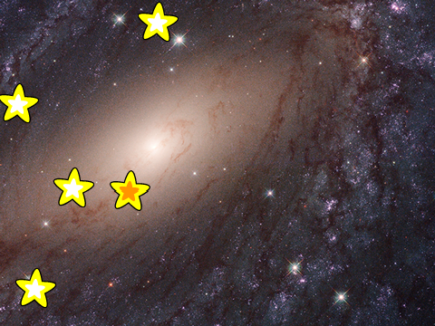 Catch the stars!