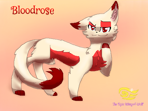 Bloodrose-speedpaint