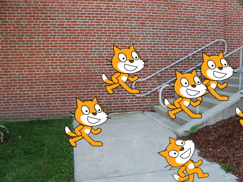 Cats in Trouble