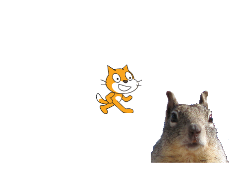YOU'RE NEVER SAFE FROM THE SQUIRRLES