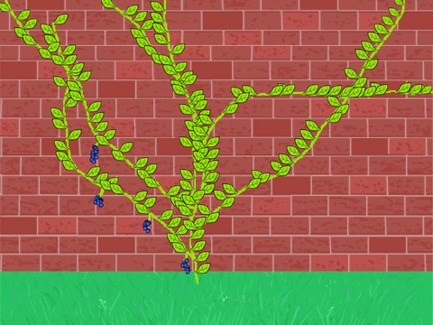 Poison Ivy simulator V1.0