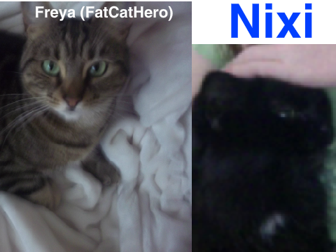 Nixi & FatCatHero (Freya)
