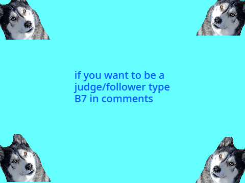 DMC Contest for followers (CLOSED)