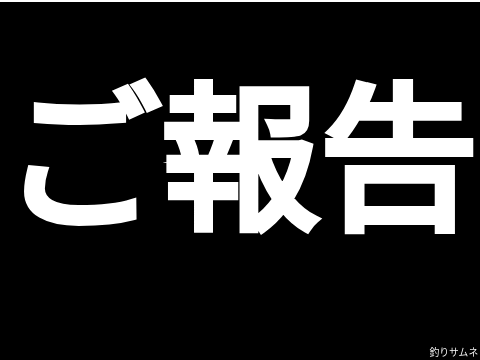 ご報告