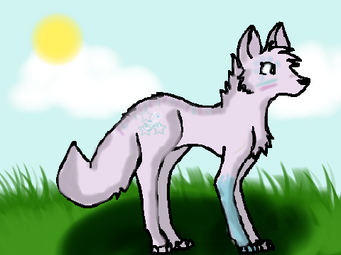 Wolf CCE