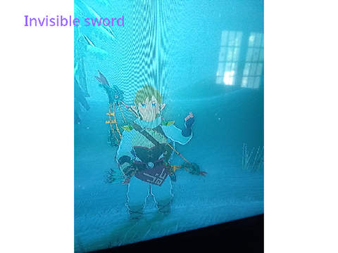 WaddleDee87 invented these totk glitches