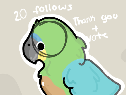 20 follows under 2 days