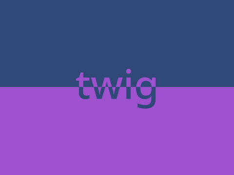 twig meme
