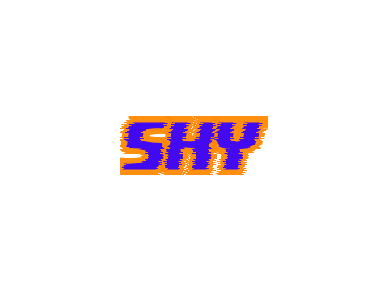 配布:SKY