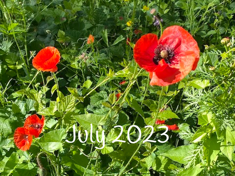 July2023