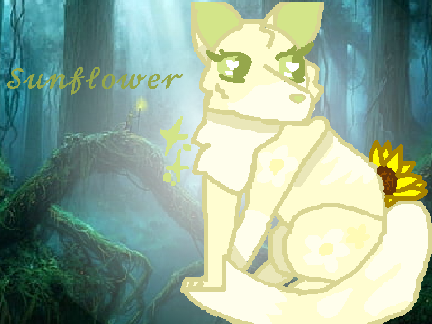 ▹DTAE for Sunflower◃ 