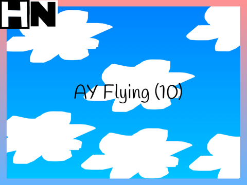 AY Flying (10)