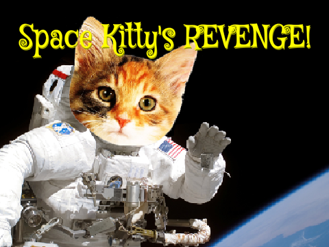 Space Kitty's REVENGE!