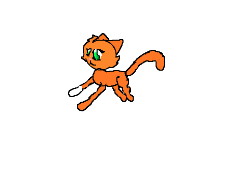 squirrelpaw