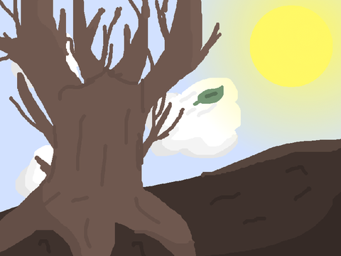 Random Things to do When Bored #1