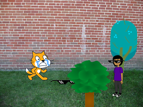 this cat got swag