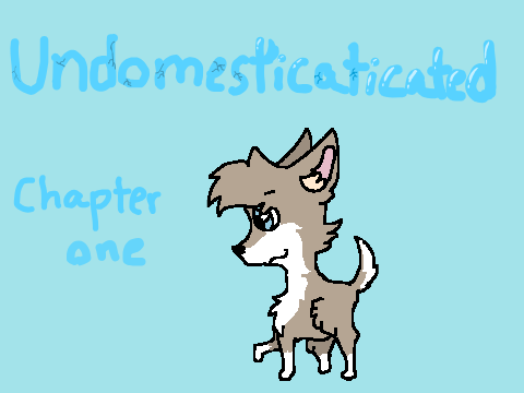 Undomesticated || Chapter 1