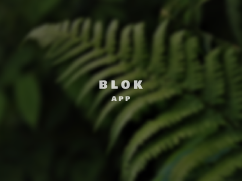 Blok - APPㅤㅤㅤㅤㅤㅤㅤㅤㅤㅤㅤㅤㅤㅤㅤㅤㅤㅤㅤㅤㅤImage to block shade converter
