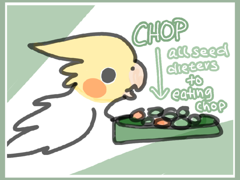 Chop (our recipe) | Read description